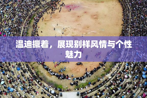 温迪撅着，展现别样风情与个性魅力