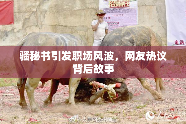 骚秘书引发职场风波，网友热议背后故事