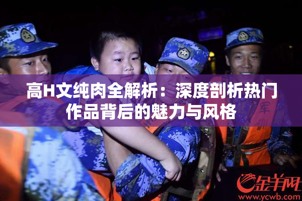 高H文纯肉全解析：深度剖析热门作品背后的魅力与风格