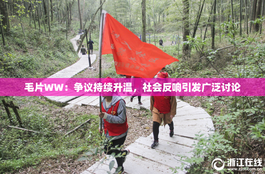 毛片WW：争议持续升温，社会反响引发广泛讨论