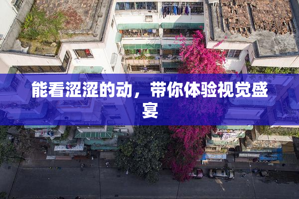 能看涩涩的动，带你体验视觉盛宴