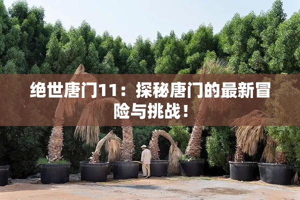 绝世唐门11：探秘唐门的最新冒险与挑战！