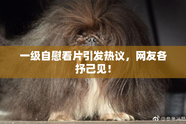 一级自慰看片引发热议，网友各抒己见！
