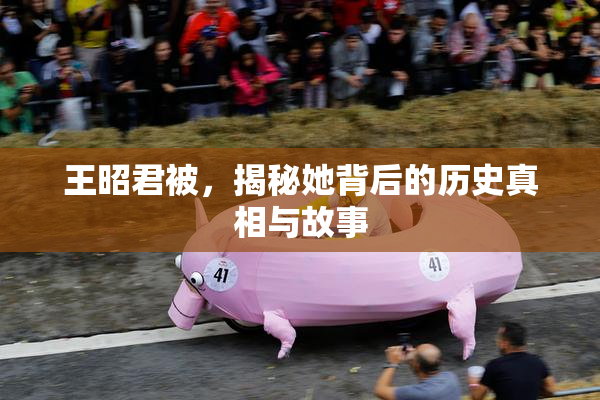 王昭君被，揭秘她背后的历史真相与故事