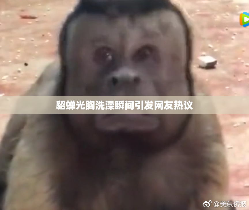 貂蝉光胸洗澡瞬间引发网友热议