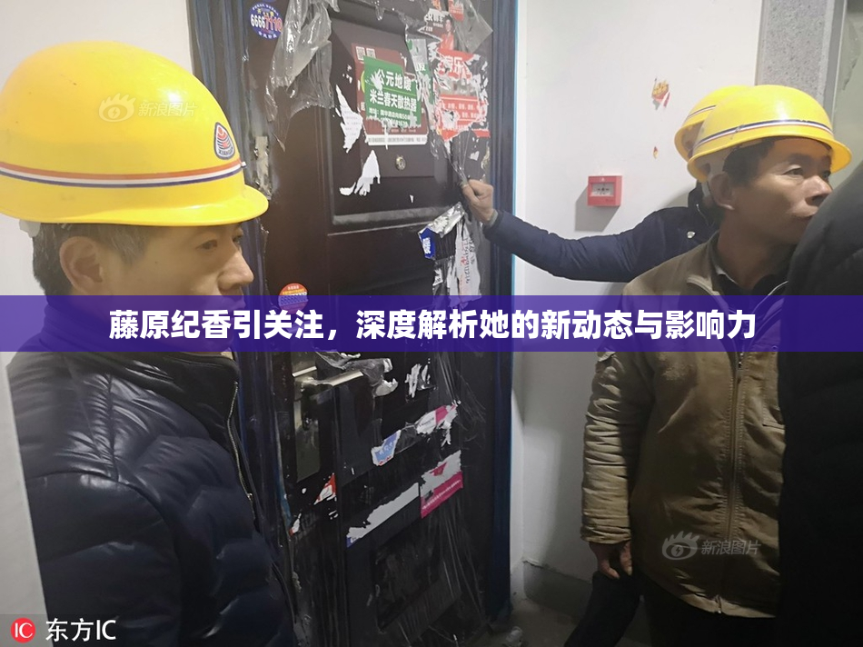 藤原纪香引关注，深度解析她的新动态与影响力