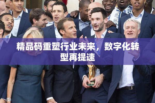 精品码重塑行业未来，数字化转型再提速