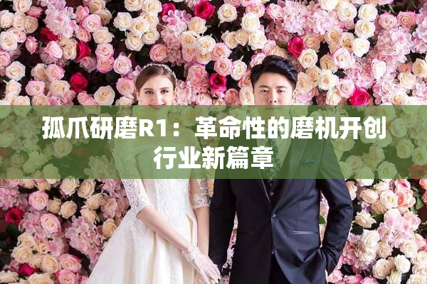 孤爪研磨R1：革命性的磨机开创行业新篇章
