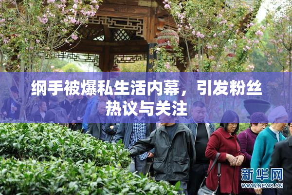 纲手被爆私生活内幕，引发粉丝热议与关注