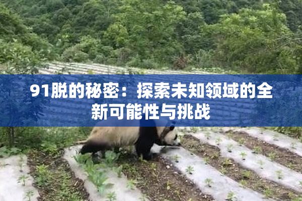 91脱的秘密：探索未知领域的全新可能性与挑战