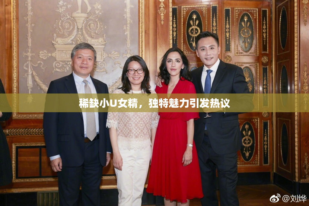 稀缺小U女精，独特魅力引发热议