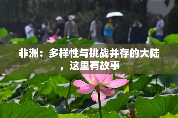 非洲：多样性与挑战并存的大陆，这里有故事