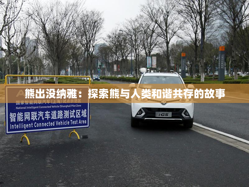熊出没纳雅：探索熊与人类和谐共存的故事