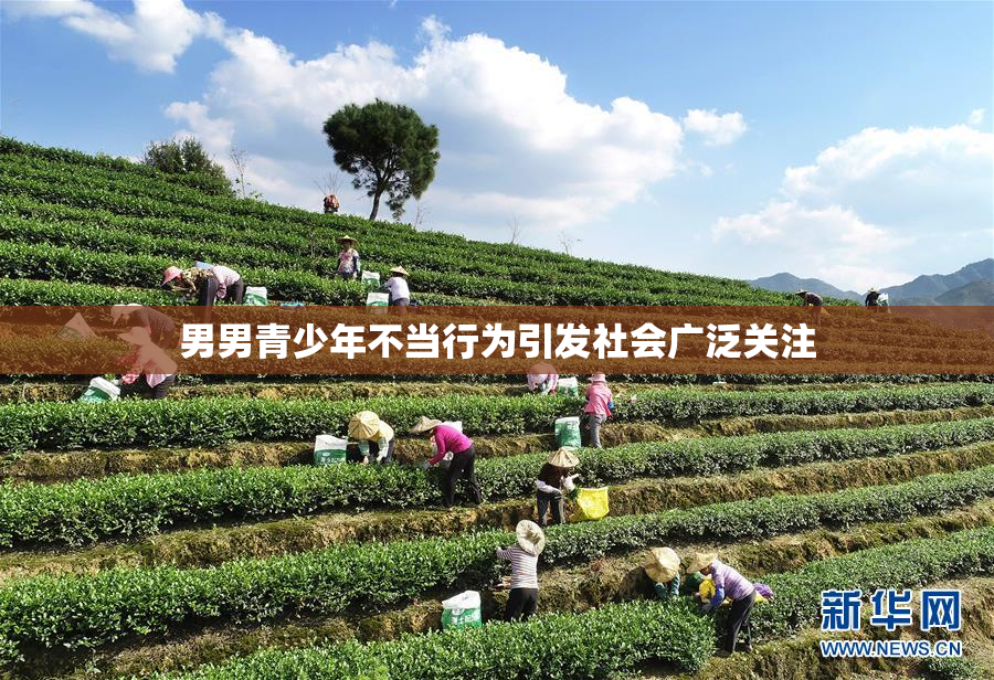 男男青少年不当行为引发社会广泛关注