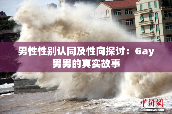 男性性别认同及性向探讨：Gay男男的真实故事
