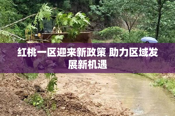 红桃一区迎来新政策 助力区域发展新机遇