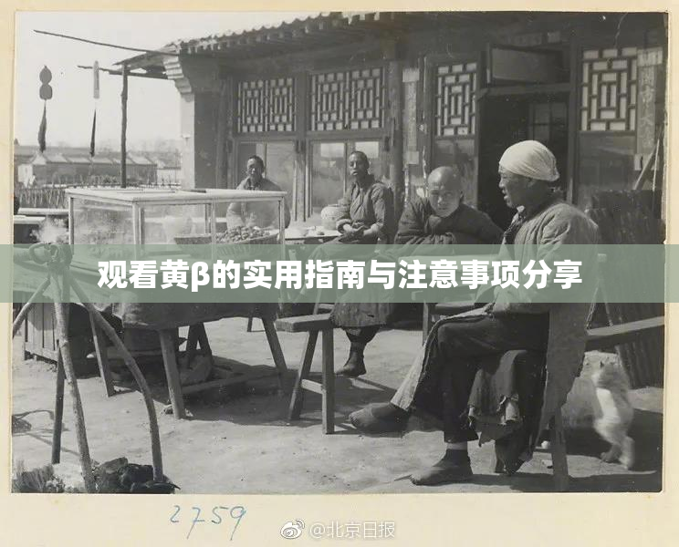 观看黄β的实用指南与注意事项分享
