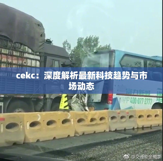 cekc：深度解析最新科技趋势与市场动态