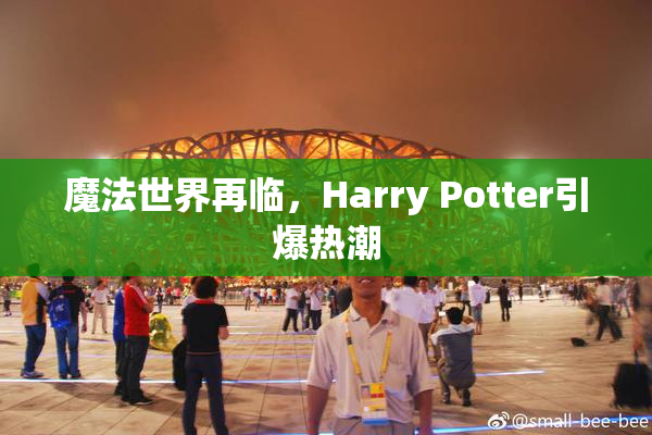 魔法世界再临，Harry Potter引爆热潮