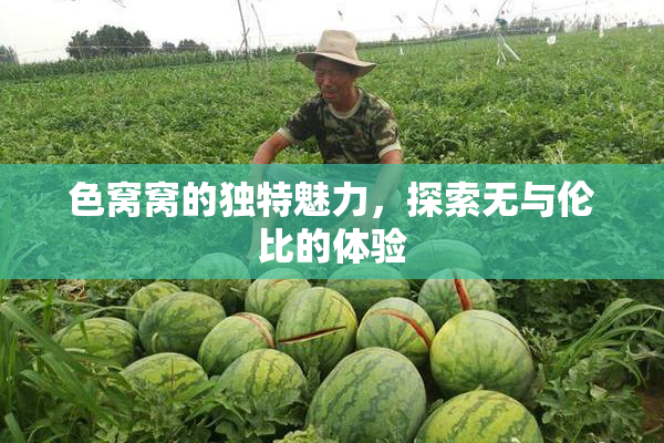 色窝窝的独特魅力，探索无与伦比的体验