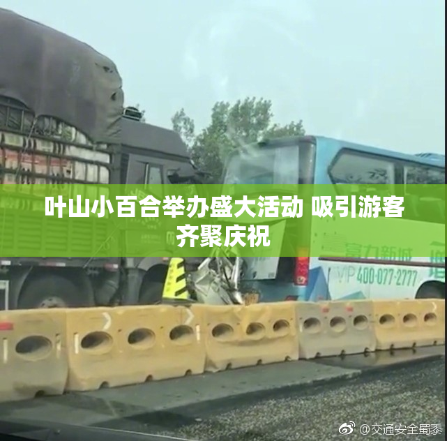 叶山小百合举办盛大活动 吸引游客齐聚庆祝