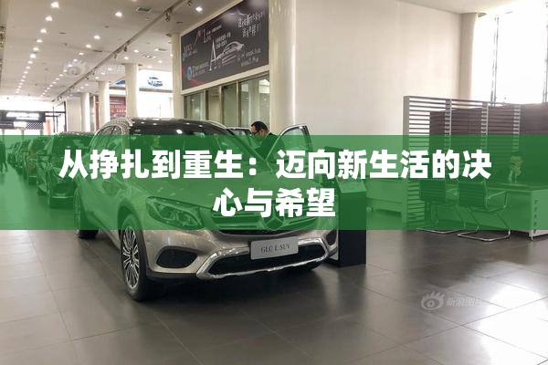 从挣扎到重生：迈向新生活的决心与希望