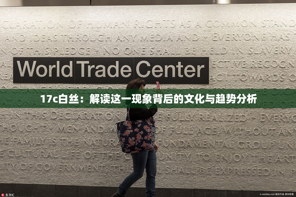 17c白丝：解读这一现象背后的文化与趋势分析
