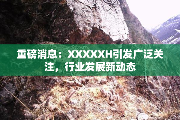重磅消息：XXXXXH引发广泛关注，行业发展新动态