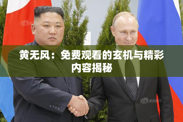 黄无风：免费观看的玄机与精彩内容揭秘