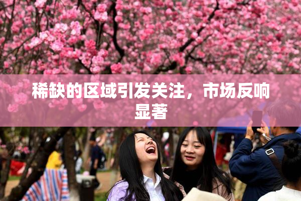 稀缺的区域引发关注，市场反响显著