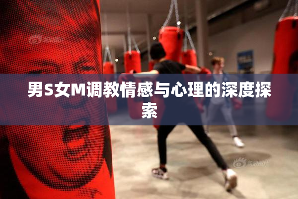 男S女M调教情感与心理的深度探索
