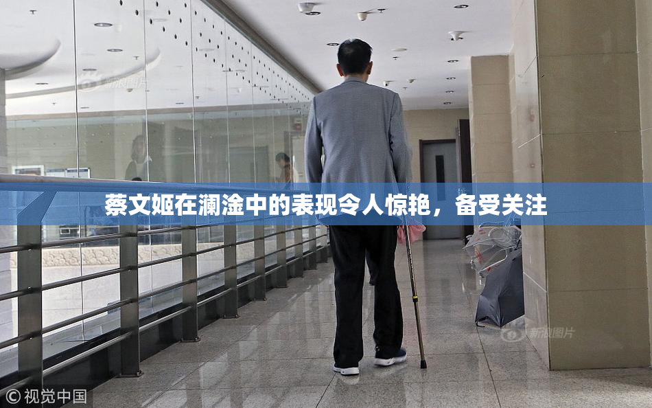 蔡文姬在澜淦中的表现令人惊艳，备受关注