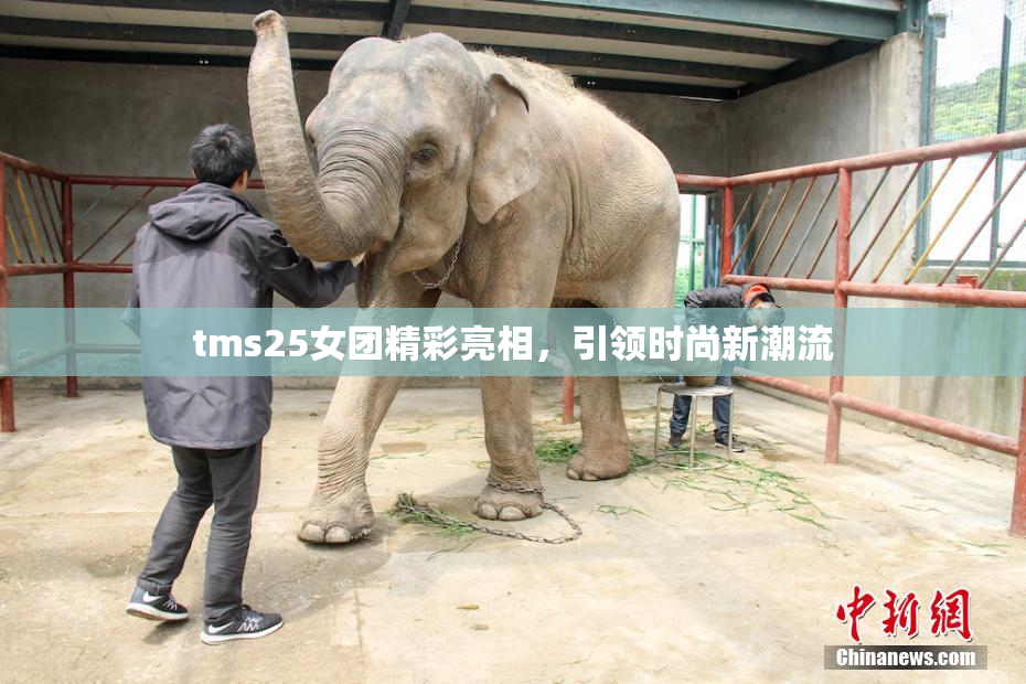 tms25女团精彩亮相，引领时尚新潮流