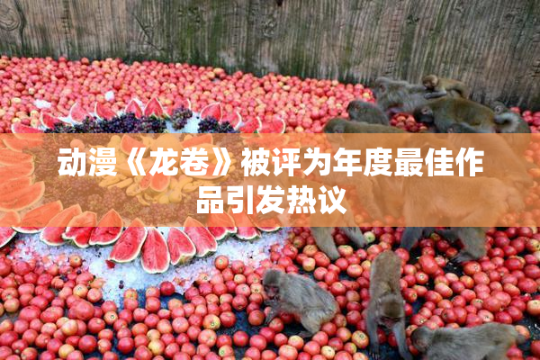 动漫《龙卷》被评为年度最佳作品引发热议