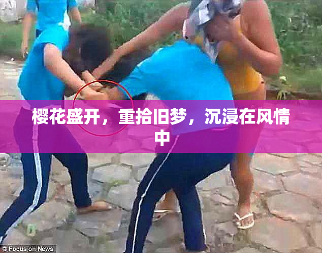 樱花盛开，重拾旧梦，沉浸在风情中