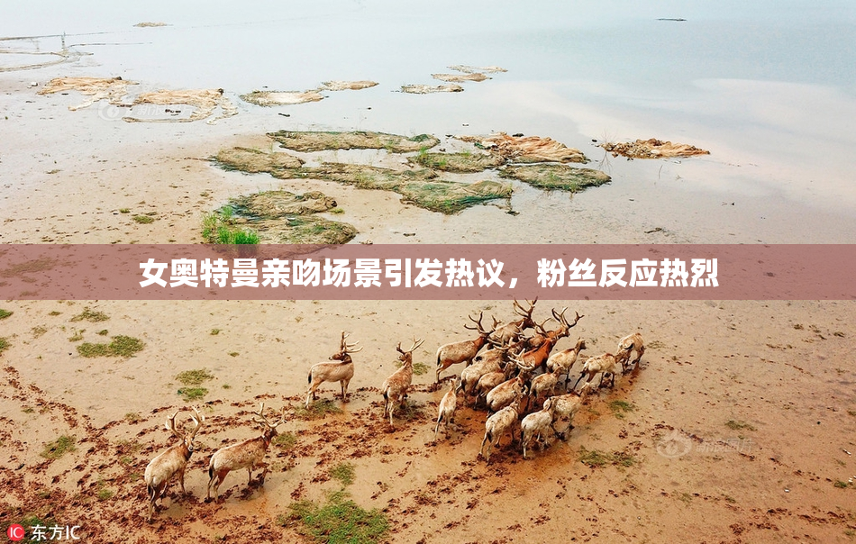 女奥特曼亲吻场景引发热议，粉丝反应热烈