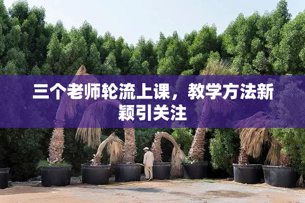 三个老师轮流上课，教学方法新颖引关注