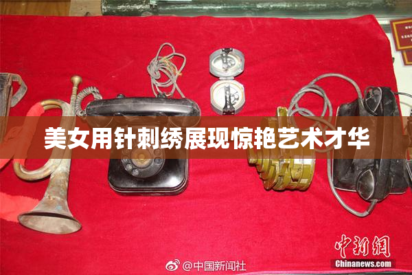 美女用针刺绣展现惊艳艺术才华