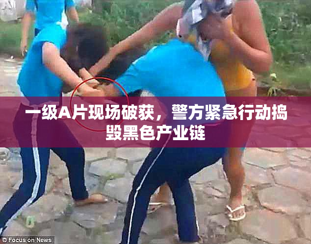 一级A片现场破获，警方紧急行动捣毁黑色产业链