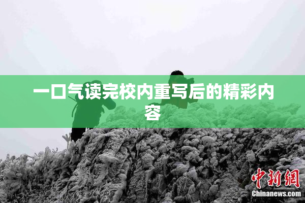 一口气读完校内重写后的精彩内容