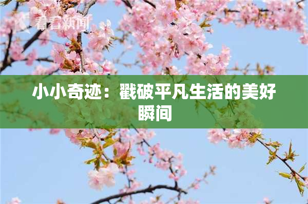 小小奇迹：戳破平凡生活的美好瞬间