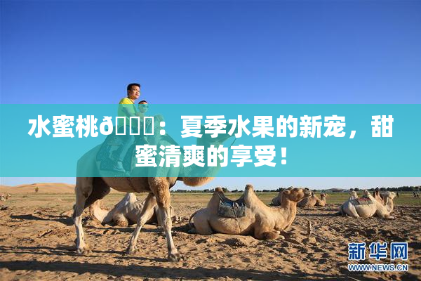 水蜜桃🍑：夏季水果的新宠，甜蜜清爽的享受！