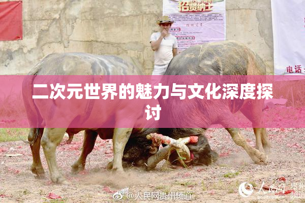 二次元世界的魅力与文化深度探讨