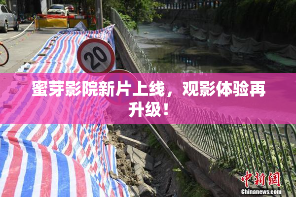蜜芽影院新片上线，观影体验再升级！