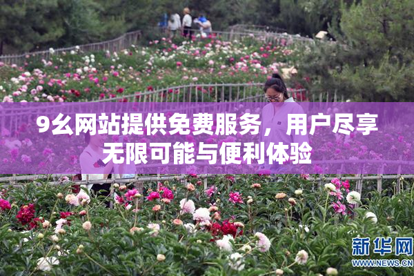 9幺网站提供免费服务，用户尽享无限可能与便利体验