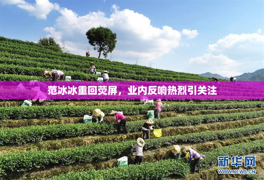范冰冰重回荧屏，业内反响热烈引关注