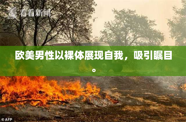欧美男性以裸体展现自我，吸引瞩目。