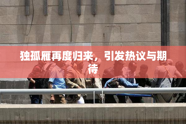 独孤雁再度归来，引发热议与期待