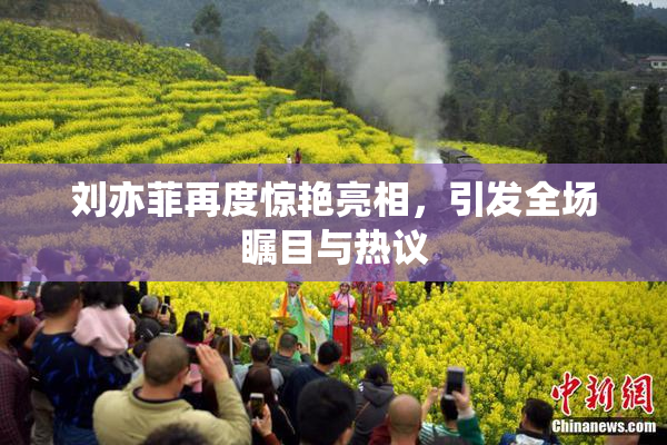 刘亦菲再度惊艳亮相，引发全场瞩目与热议