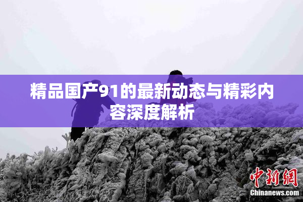 精品国产91的最新动态与精彩内容深度解析
